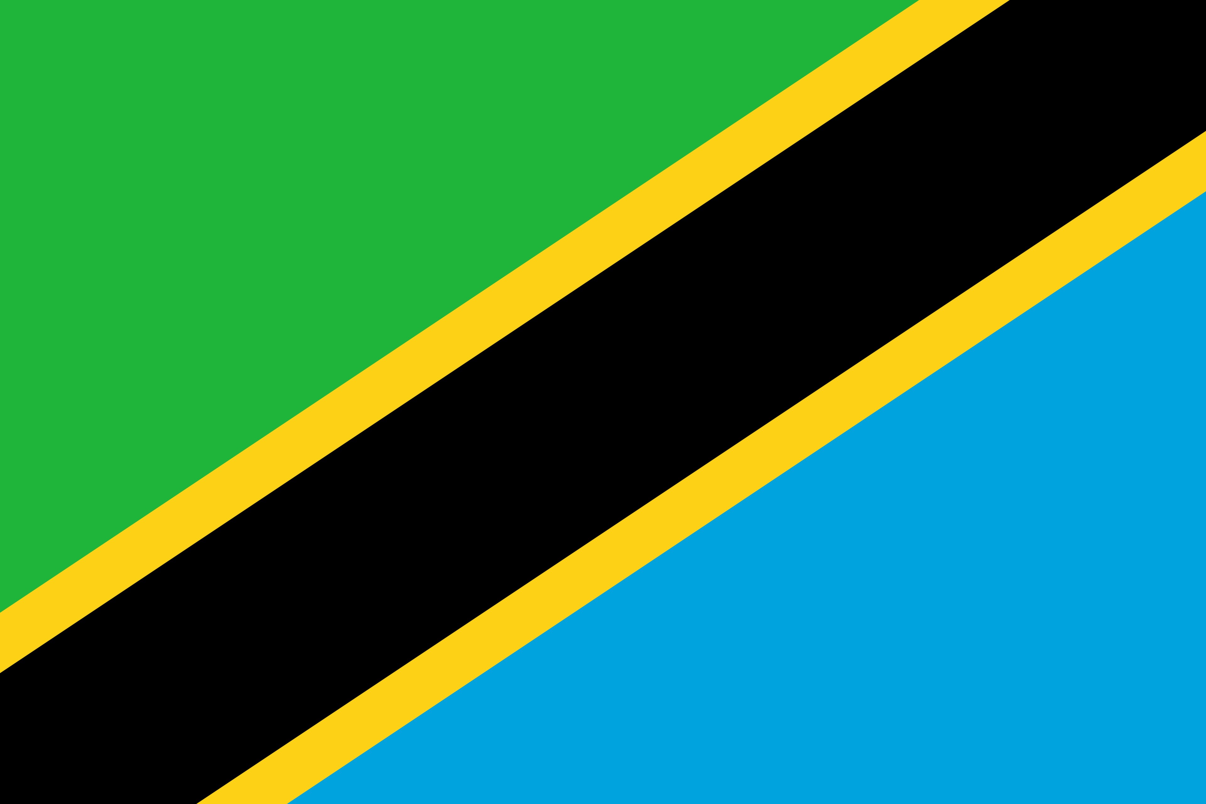 Tanzania flag